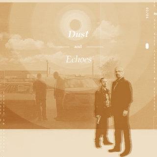 Dust and Echoes