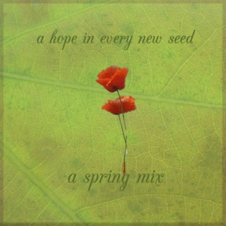 a hope in every new seed - a spring mix