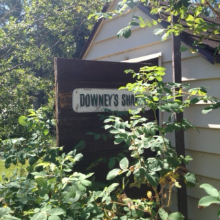 Day Trip to the Downey Shanty