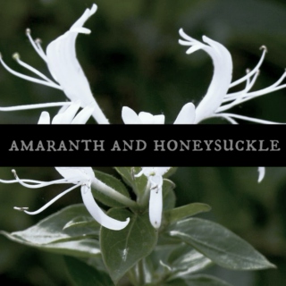 amaranth and honeysuckle