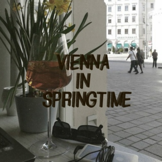 Vienna In Springtime