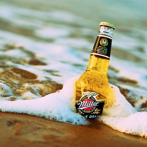 Cheers to Ice Cold Beers