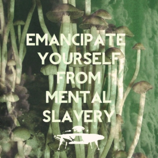 Emancipate Yourself From Mental Slavery