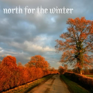 North For The Winter