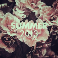 summer 2013