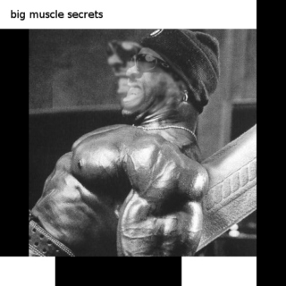 big muscle secrets