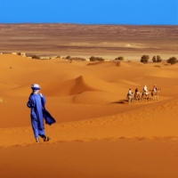 The Great Gig in the Desert (pt. I)