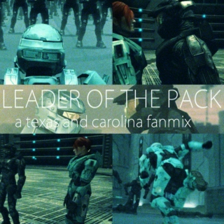 leader of the pack