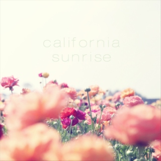 california sunrise.