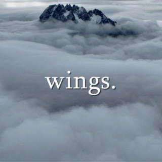 wings.