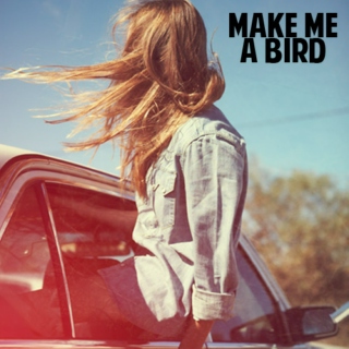 Make Me A Bird