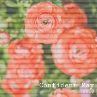 Confident May 2013