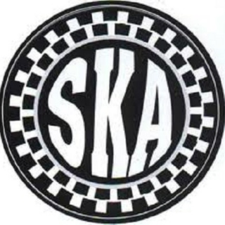 Ska 101: An Introduction