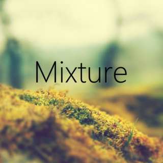 Mixture (1)