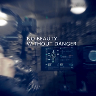 no beauty without danger