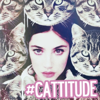 #cattitude