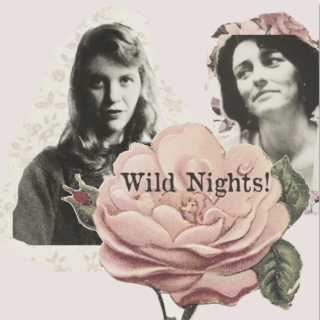 wild nights! (were i with thee)
