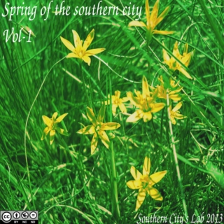 Spring of the southern city (2013, Vol-1)