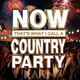 Now That's What I Call A Country Party [2013]