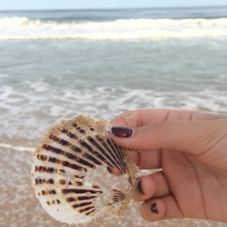 sally sells seashells