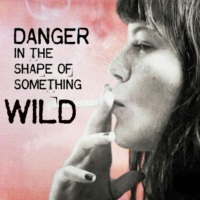 Danger In The Shape of Something Wild
