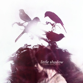 little shadow
