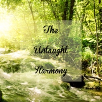 The Untaught Harmony