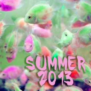 Summer 2013