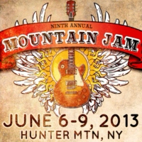 Mountain Jam 2013