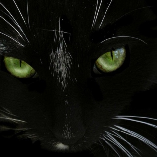 Black cat hip hop mix 3