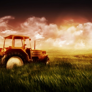 Take me to the country <3