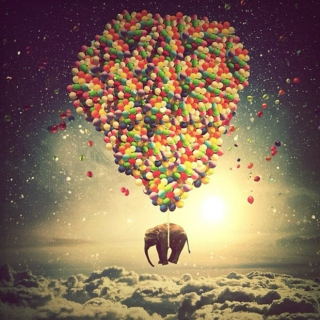 Elephant in the Sky
