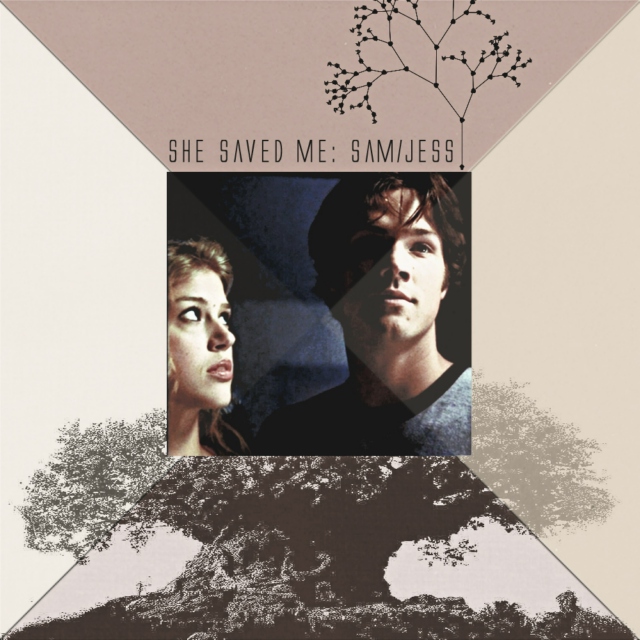 She Saved Me: A Sam/Jess Mix