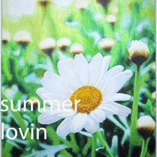 summer lovin