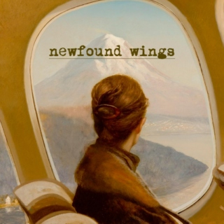 Newfound Wings