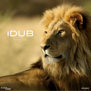 iDUB: Seven Lions Mix