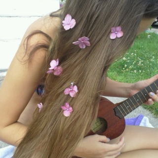 flowers in your hair 