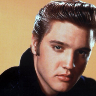 Elvis & His Imitators