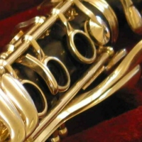 Woodwind instruments in classical music