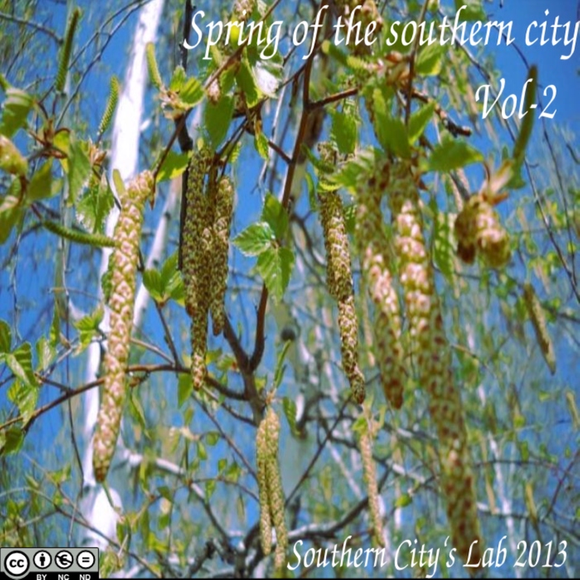Spring of the southern city (2013, Vol-2)