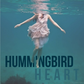 hummingbird heart