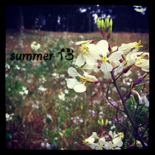 summer 13