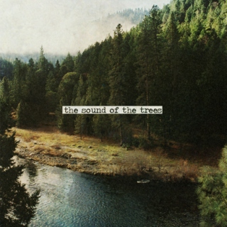 The sound of the trees
