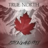 true north strong and free