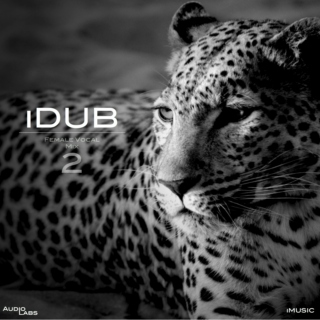 iDUB: Female Vocal Mix 2