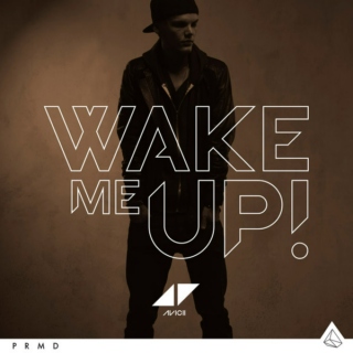 SUMMER 2013 - Wake Me Up!