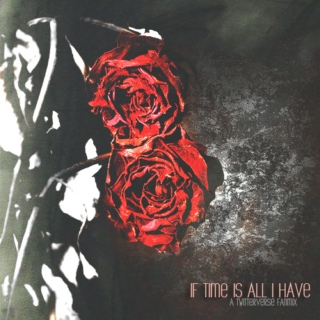 If Time is All I Have; a Twitterverse Fanmix