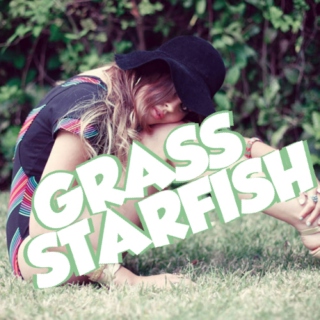 Grass Starfish