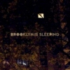 brooklyn is sleeping (a hip hop release)