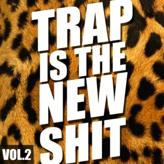 Trap Is The New Shit 2
